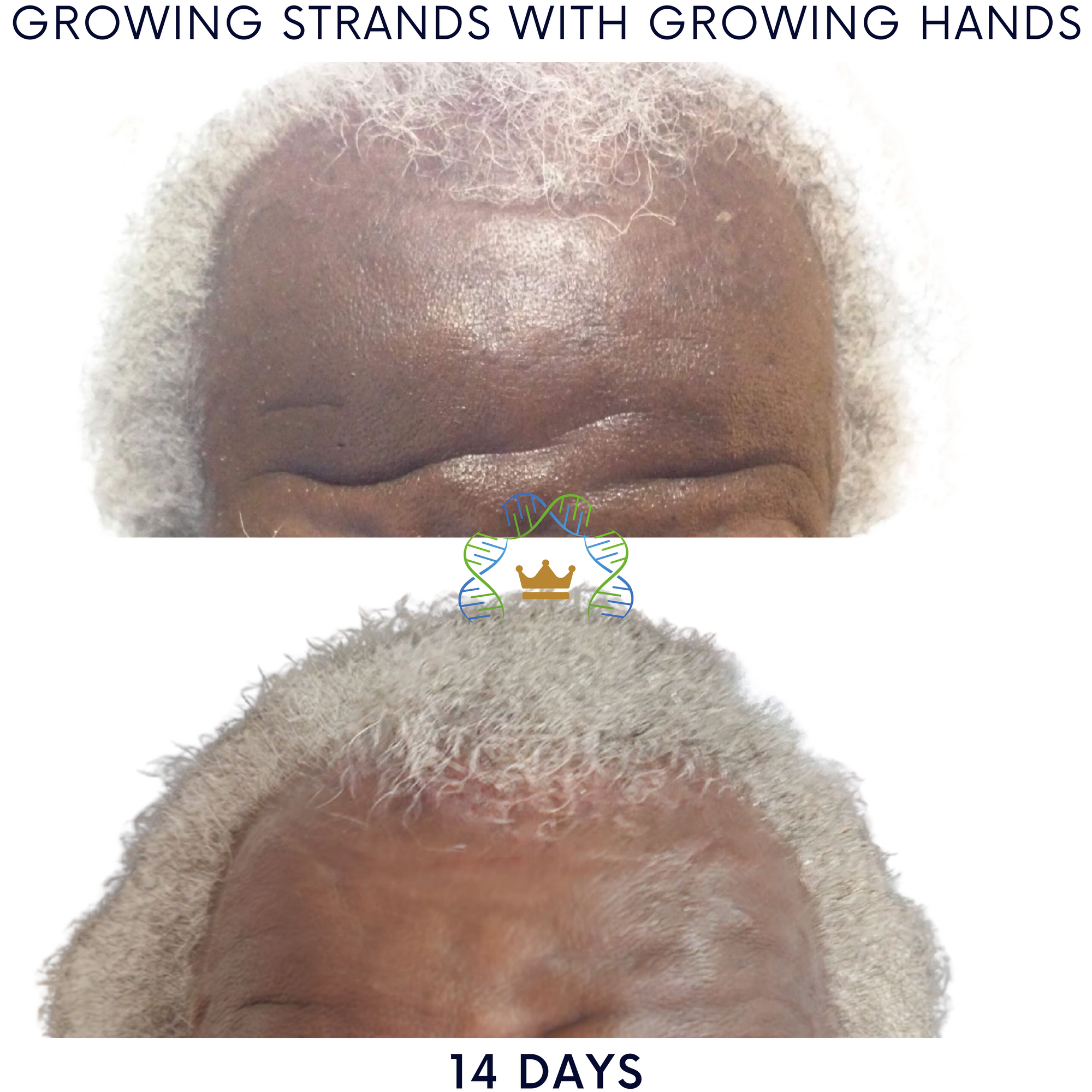Growing Hands™ Pillars of Success