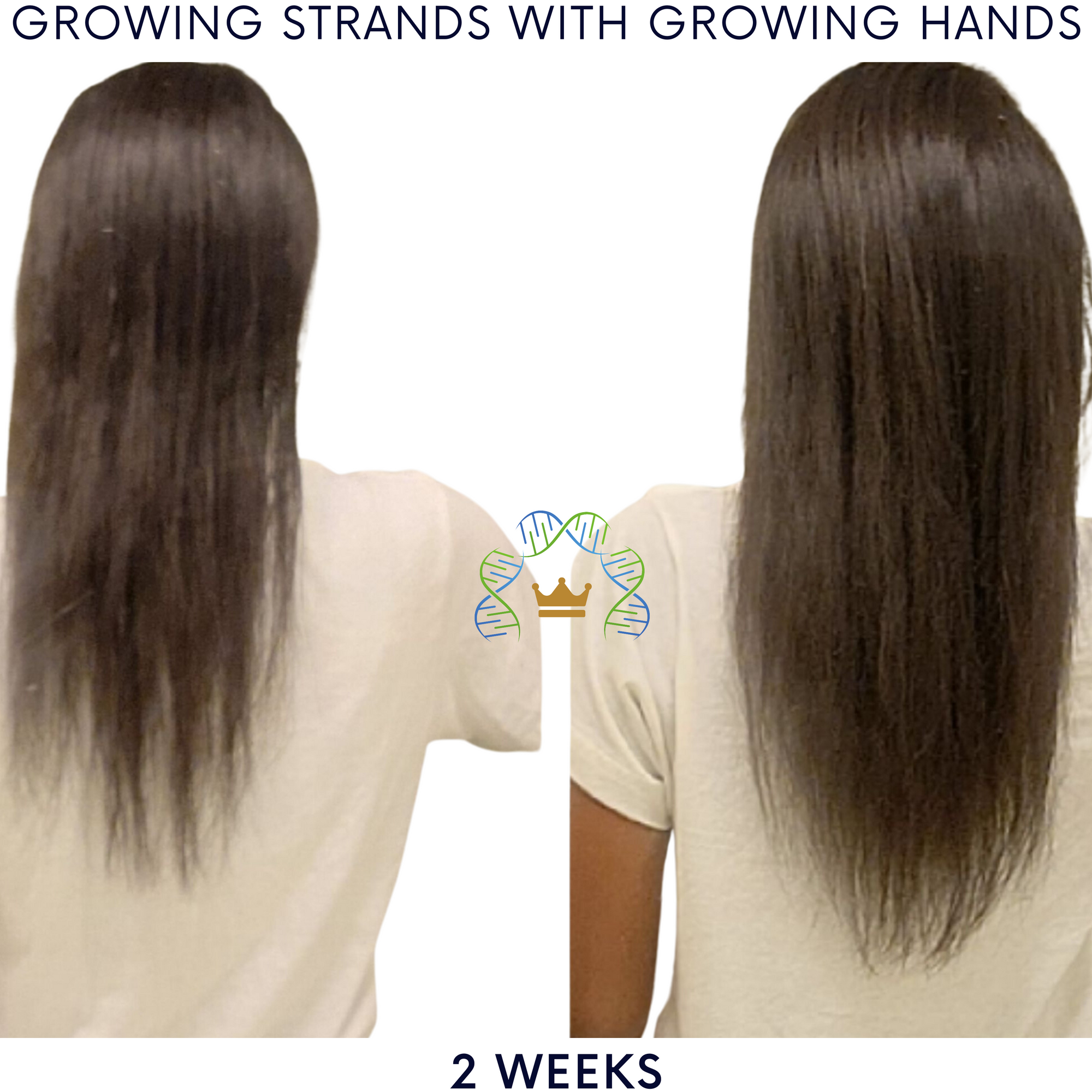 Growing Hands™ Pillars of Success