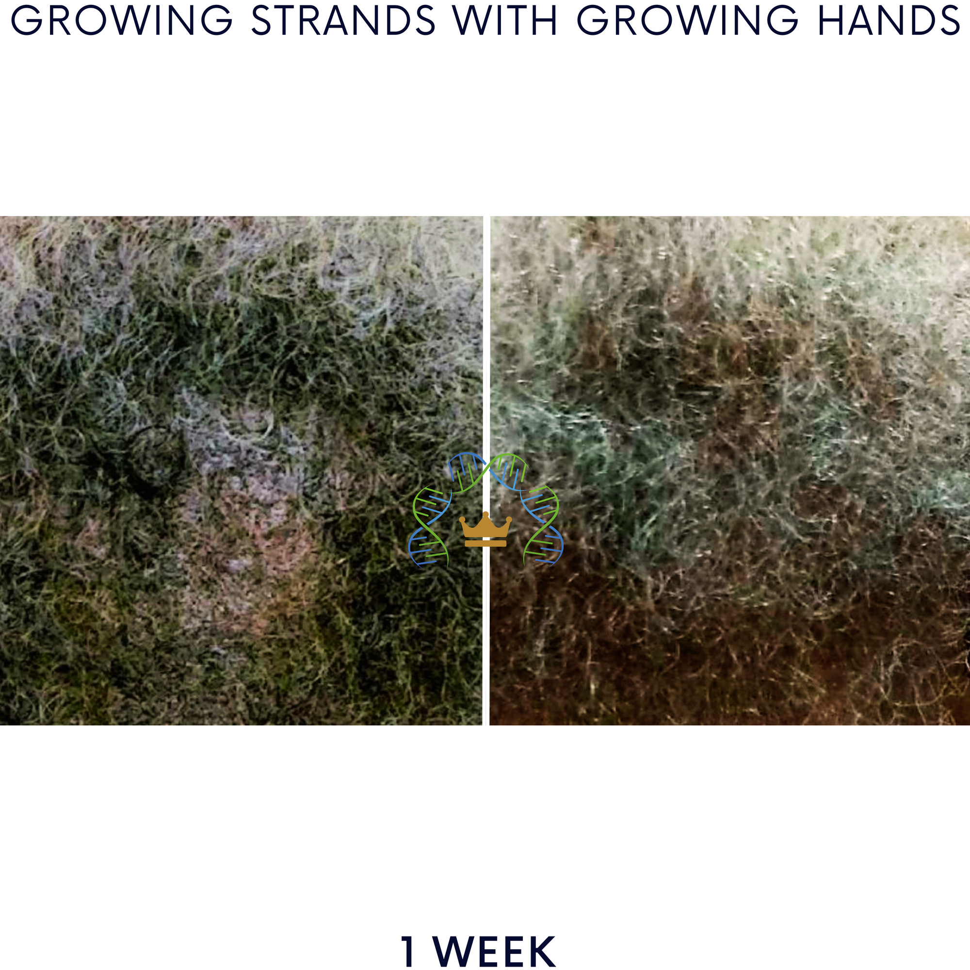 Growing Hands™ Pillars of Success