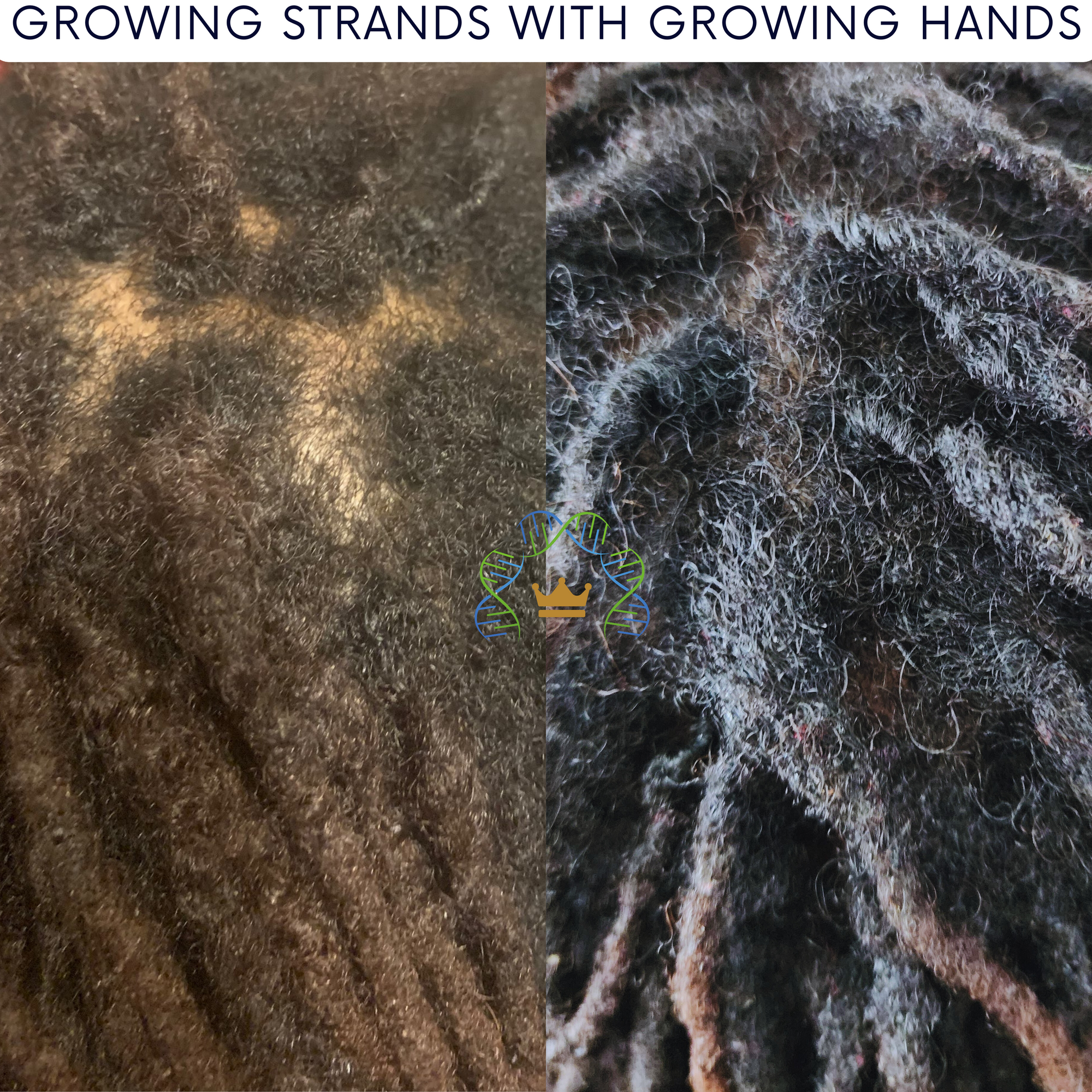 Growing Hands™ Pillars of Success